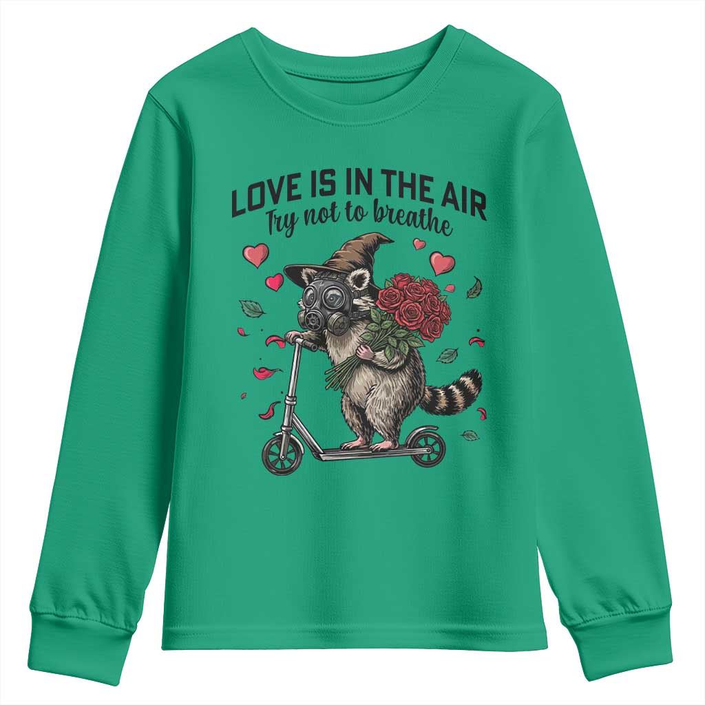 Funny Raccoon Scooter Anti Valentine Youth Sweatshirt Love Is In The Air Try Not To Breathe TS14 Irish Green Print Your Wear