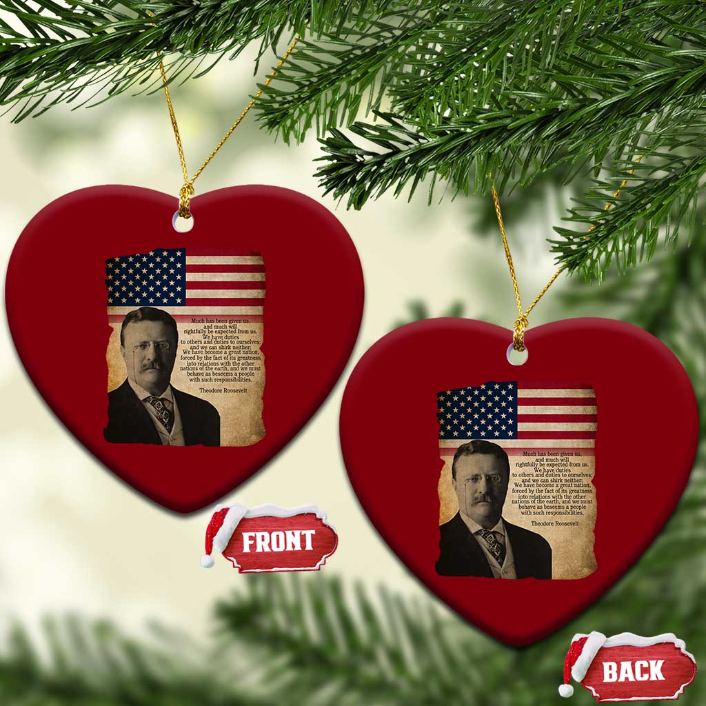 Theodore Roosevelt Quote Ceramic Ornament American President History TS14 Print Your Wear