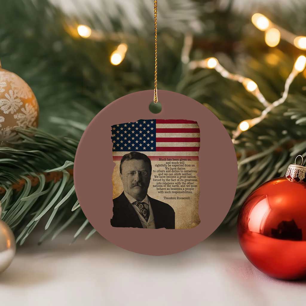 Theodore Roosevelt Quote Ceramic Ornament American President History TS14 1pc Mocha Print Your Wear