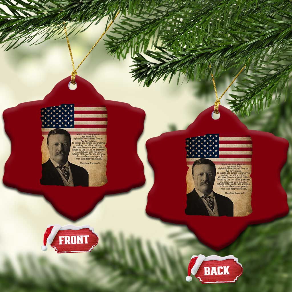 Theodore Roosevelt Quote Ceramic Ornament American President History TS14 Print Your Wear