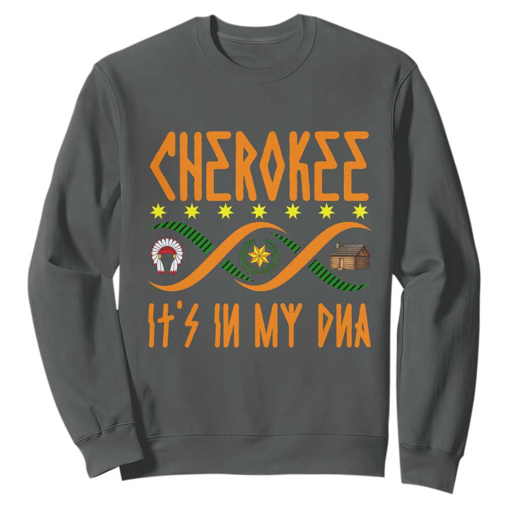 Cherokee Native American DNA Pride Sweatshirt It Is In My DNA TS14 Dark Heather Print Your Wear