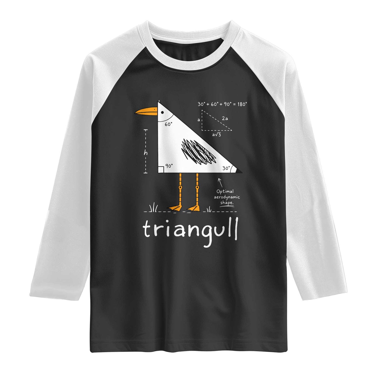 Triangull Triangle Seagull Bird Pun Raglan Shirt Funny Math Teacher Joke Humor TS14 Black White Print Your Wear