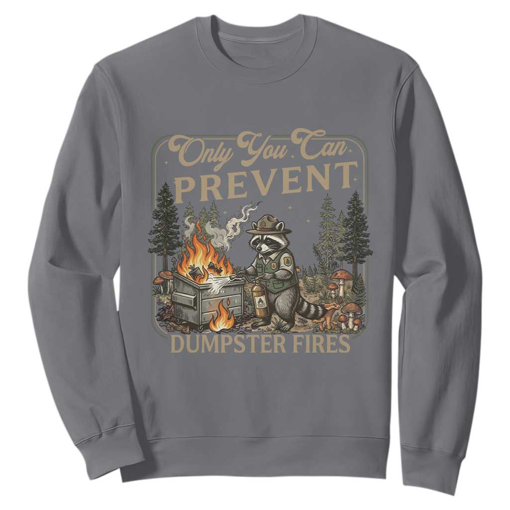 Only You Can Prevent Dumpster Fires Sweatshirt Funny Raccoon Mental Health Meme TS14 Charcoal Print Your Wear
