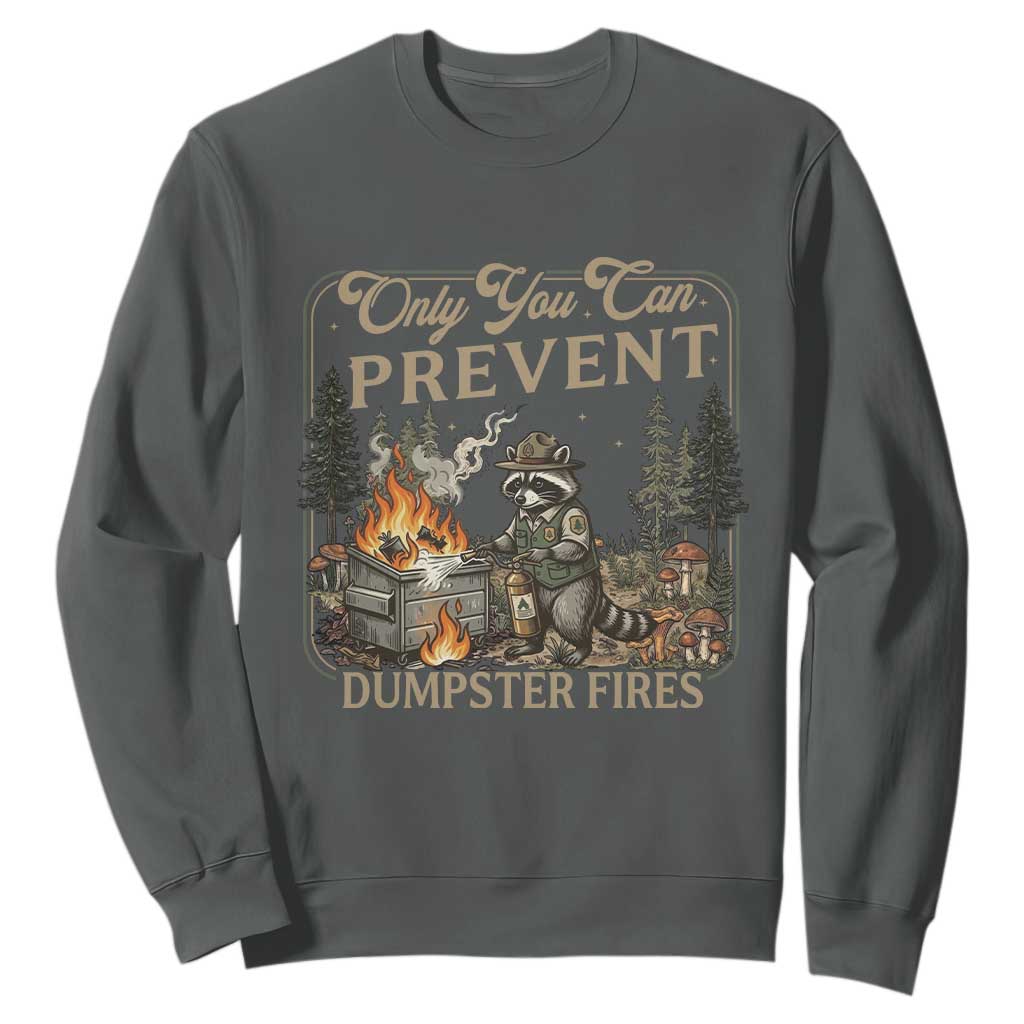 Only You Can Prevent Dumpster Fires Sweatshirt Funny Raccoon Mental Health Meme TS14 Dark Heather Print Your Wear