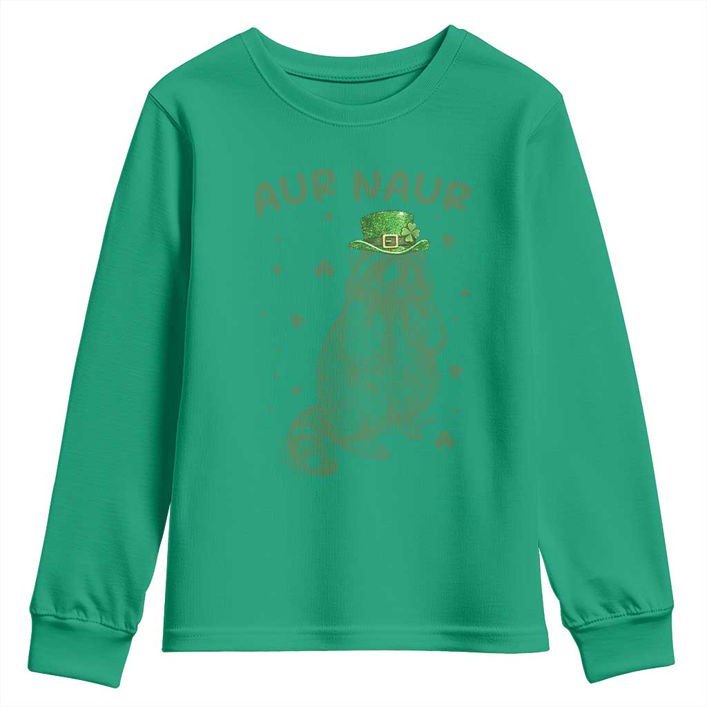 Aur Naur Raccoon St Patricks Day Youth Sweatshirt Funny Sarcastic Oh No Australian Accent TS14 Irish Green Print Your Wear