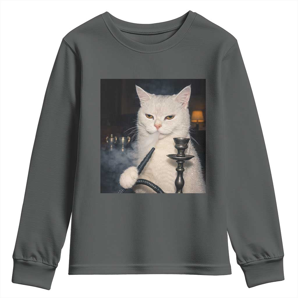 Funny Stoner Cat Youth Sweatshirt 420 Stoner Smoking Cat Cannabis Lover Meme TS14 Dark Heather Print Your Wear