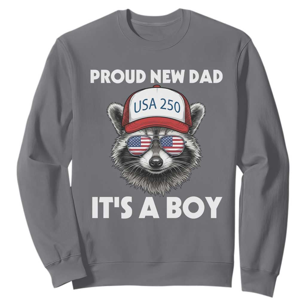 Proud New Dad It's A Boy Sweatshirt USA 250th Anniversary Raccoon Dad TS14 Charcoal Print Your Wear