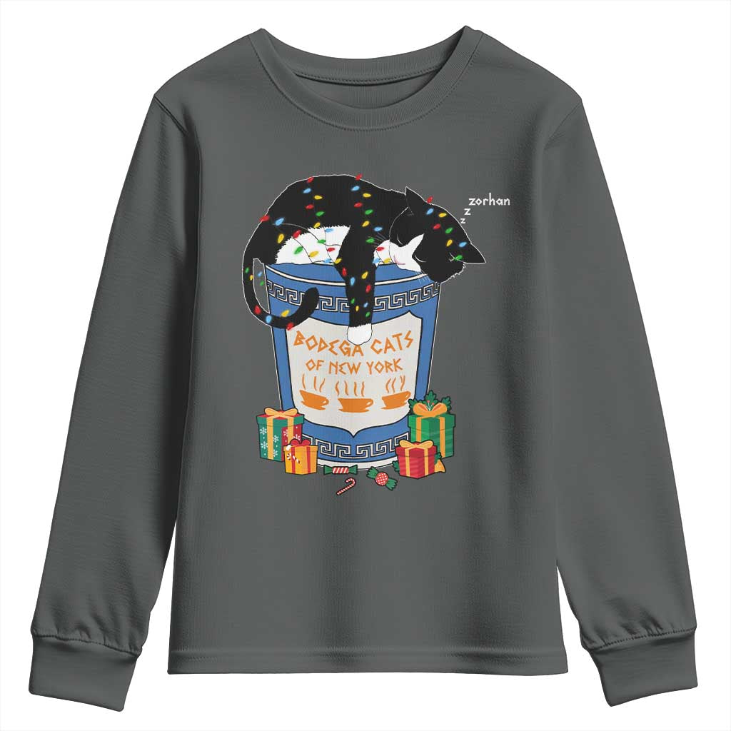Bodega Cats of New York Youth Sweatshirt Funny Democrat Christmas TS14 Dark Heather Print Your Wear