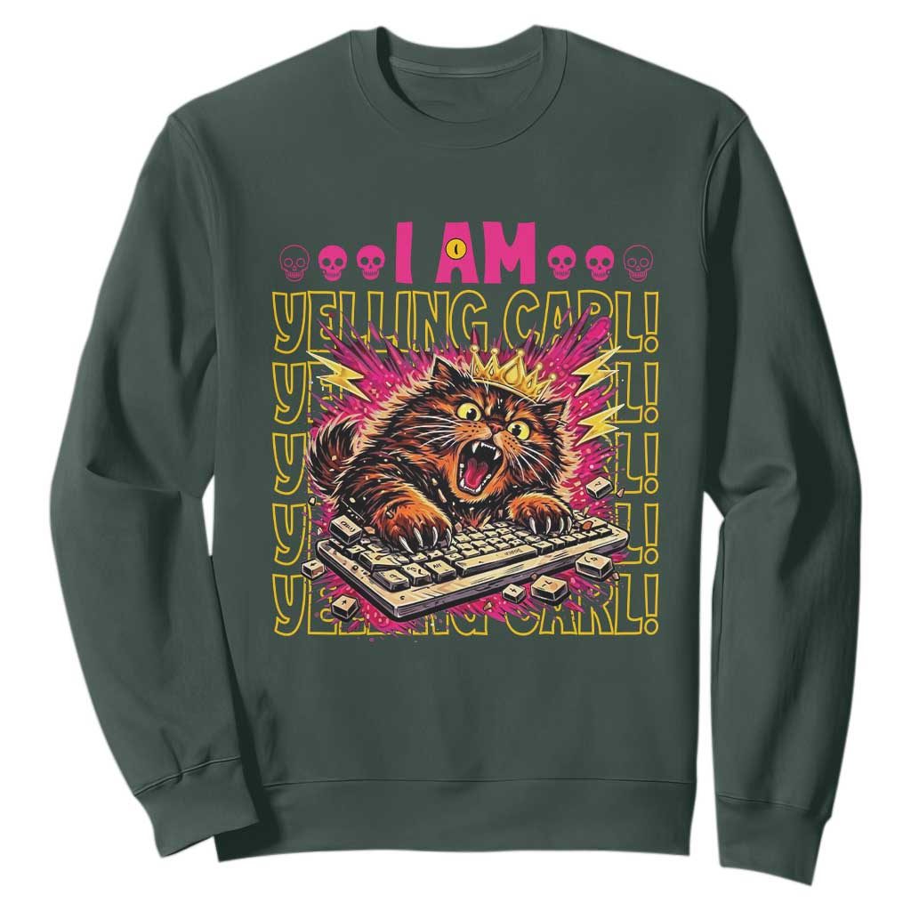Funny I Am Yelling Carl Donut Cat Meme Sweatshirt