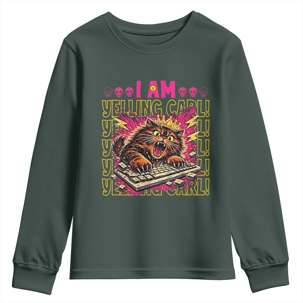Funny I Am Yelling Carl Donut Cat Meme Youth Sweatshirt