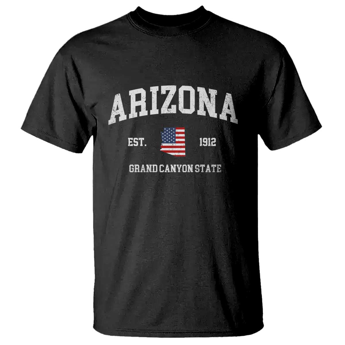 Arizona Grand Canyon State America USA Souvenir T Shirt TS14 Black Print Your Wear