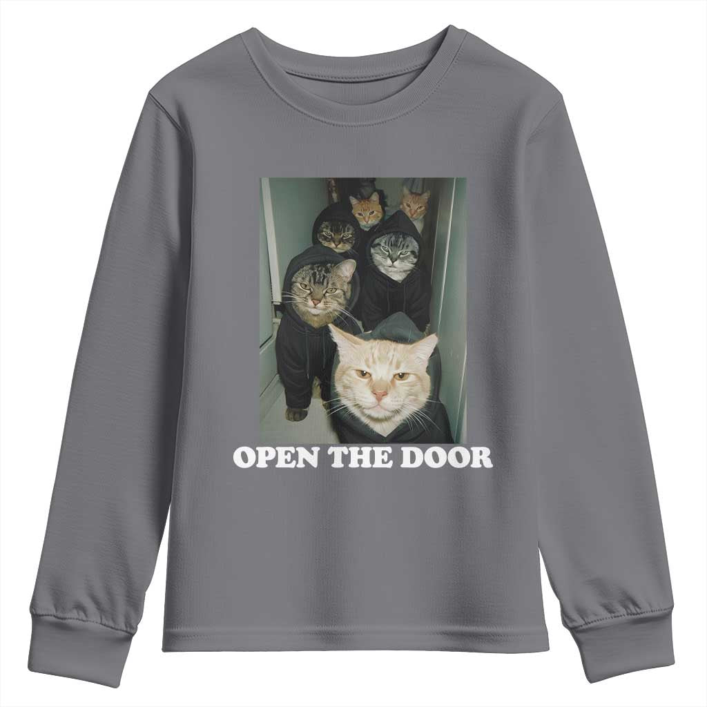 Open The Door Cats Lover Youth Sweatshirt Funny Cat Gang Sarcastic Meme TS14 Charcoal Print Your Wear