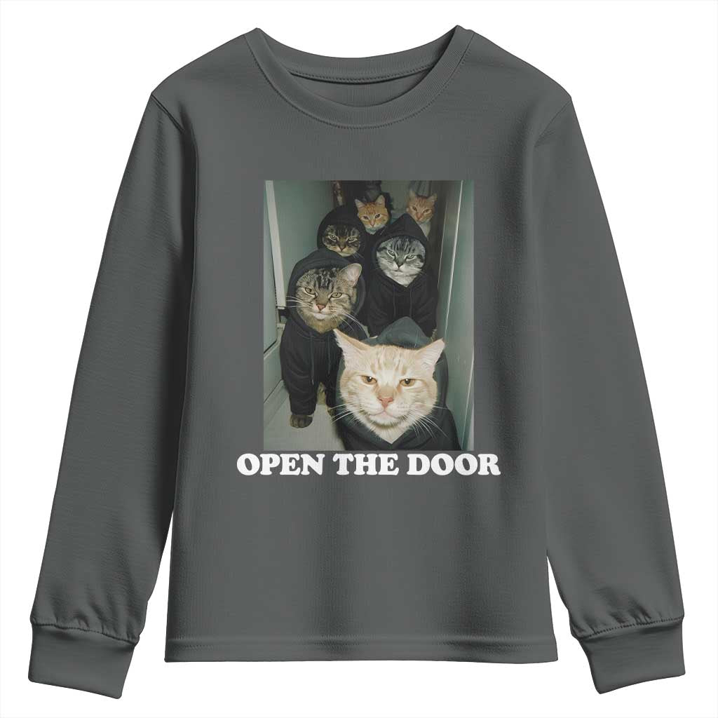 Open The Door Cats Lover Youth Sweatshirt Funny Cat Gang Sarcastic Meme TS14 Dark Heather Print Your Wear