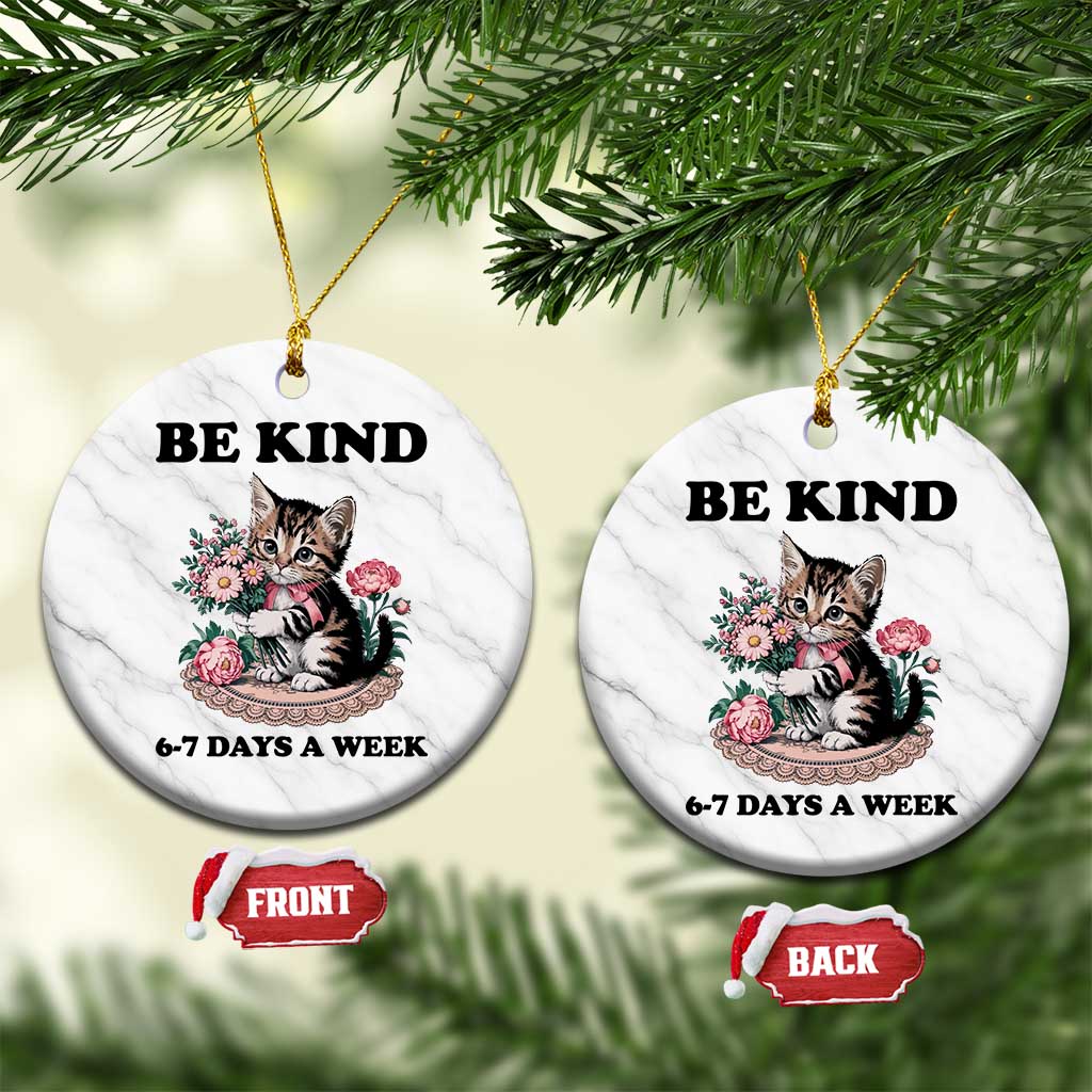 Be Kind 6 7 Days a Week Ceramic Ornament Funny Six Seven Cat Teacher Meme TS14 1pc White Marble Print Your Wear