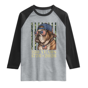 250 Years America Anniversary Raglan Shirt Military Bulldog American Flag Camo