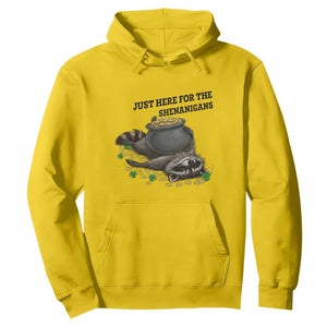 Funny Raccoon St Patricks Day Meme Hoodie Just Here For The Shenanigans TS14 Daisy Print Your Wear