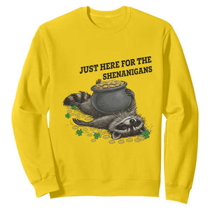 Funny Raccoon St Patricks Day Meme Sweatshirt Just Here For The Shenanigans TS14 Daisy Print Your Wear