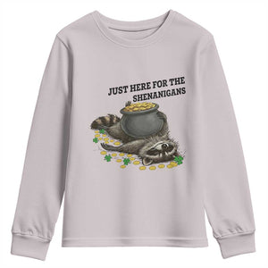 Funny Raccoon St Patricks Day Meme Youth Sweatshirt Just Here For The Shenanigans TS14 Ice Gray Print Your Wear