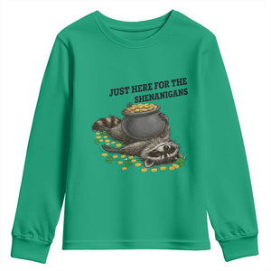 Funny Raccoon St Patricks Day Meme Youth Sweatshirt Just Here For The Shenanigans TS14 Irish Green Print Your Wear