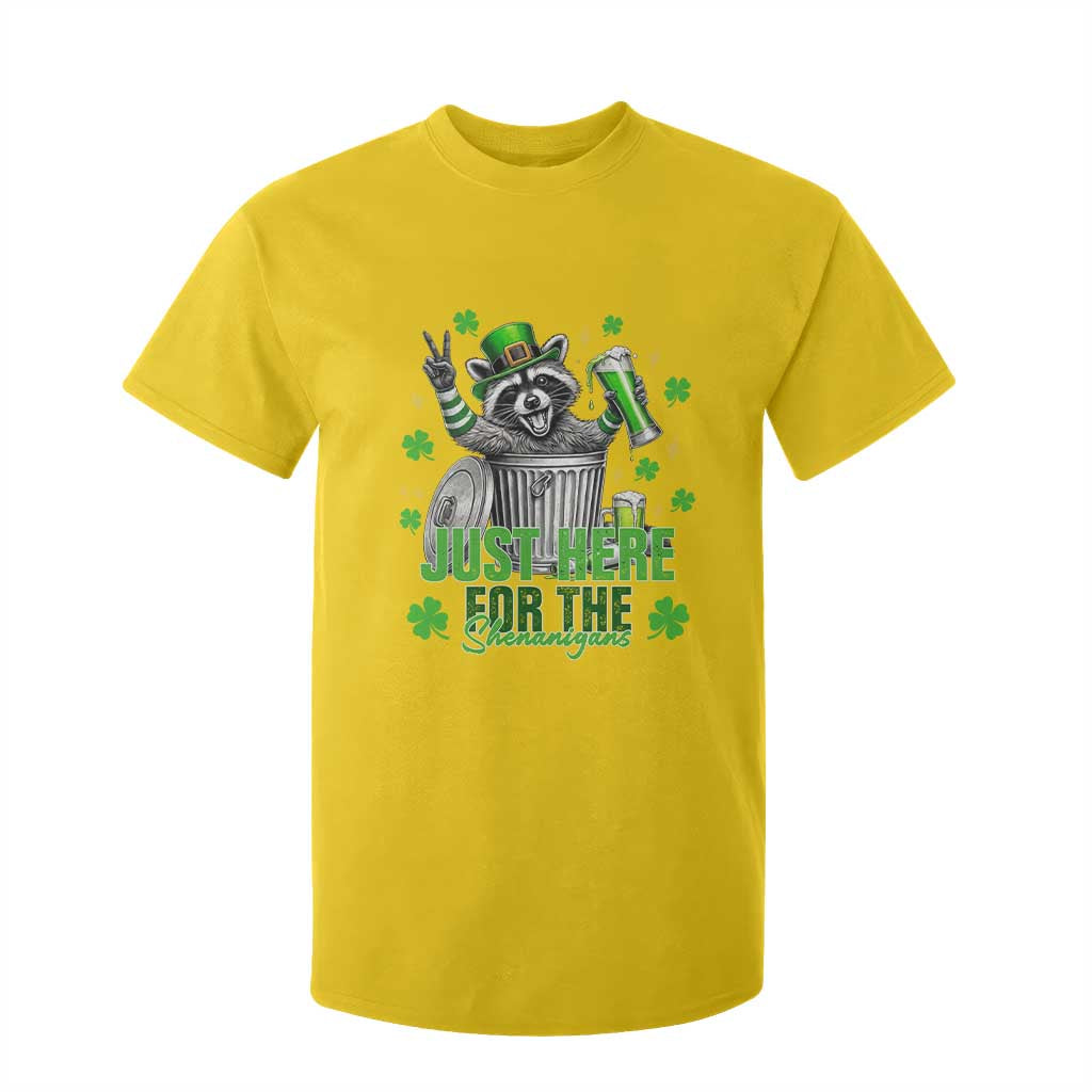 Funny Raccoon Drinking Beer St Patricks Day T Shirt For Kid Just Here For The Shenanigans TS14 Daisy Print Your Wear