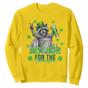 Funny Raccoon Drinking Beer St Patricks Day Sweatshirt Just Here For The Shenanigans TS14 Daisy Print Your Wear
