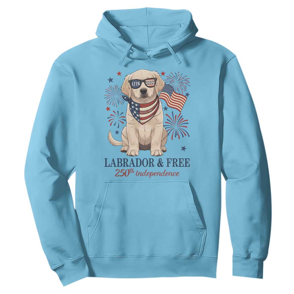 250th America Anniversary Hoodie Labrador Retriever American Flag 4th of July TS14 Sky Print Your Wear