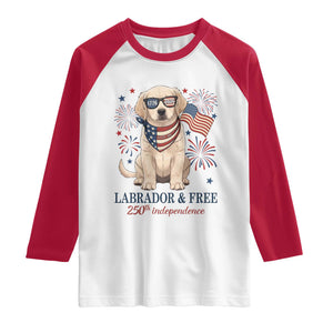 250th America Anniversary Raglan Shirt Labrador Retriever American Flag 4th of July TS14 White Red Print Your Wear