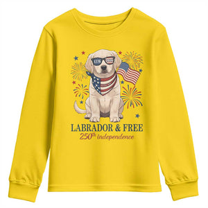 250th Anniversary USA Youth Sweatshirt Labrador Retriever American Flag 4th of July TS14 Daisy Print Your Wear
