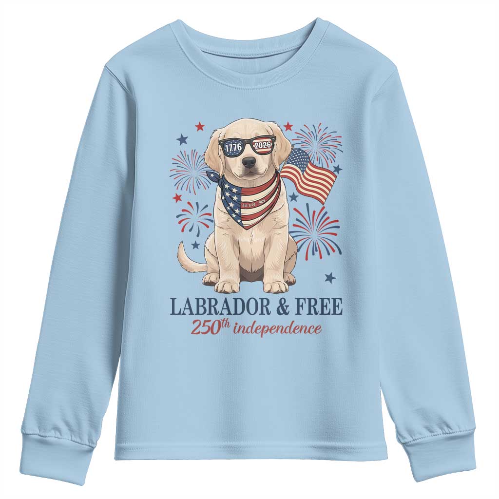 250th Anniversary USA Youth Sweatshirt Labrador Retriever American Flag 4th of July TS14 Light Blue Print Your Wear