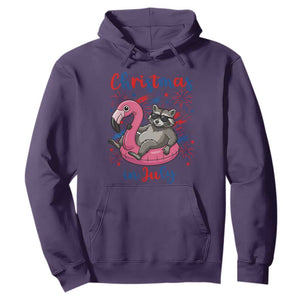 Funny Raccoon Christmas In July 4th of July Hoodie