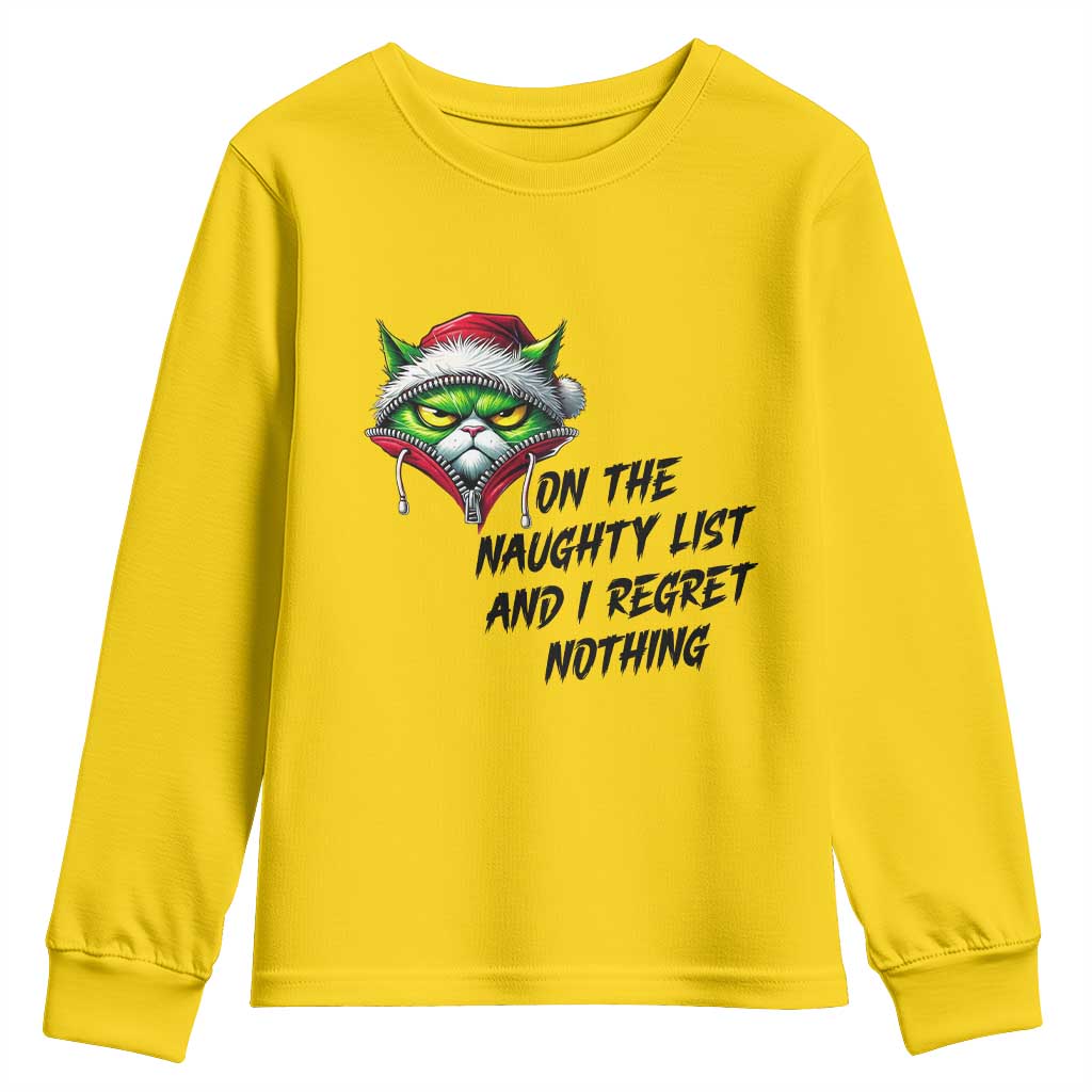 Funny Cat Green Christmas Youth Sweatshirt On The Naughty List And I Regret Nothing TS14 Daisy Print Your Wear