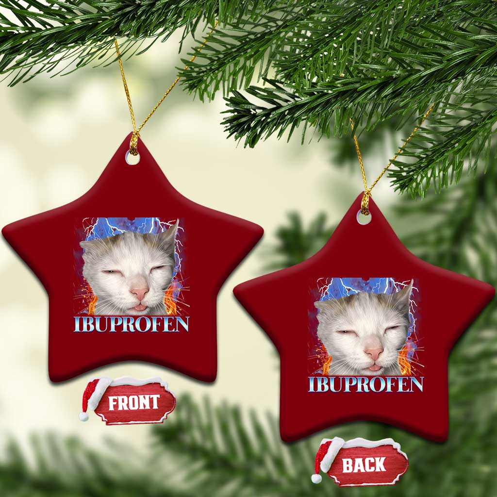 Funny Cat Meme Ceramic Ornament Ibuprofen Silly Kitten TS14 Print Your Wear
