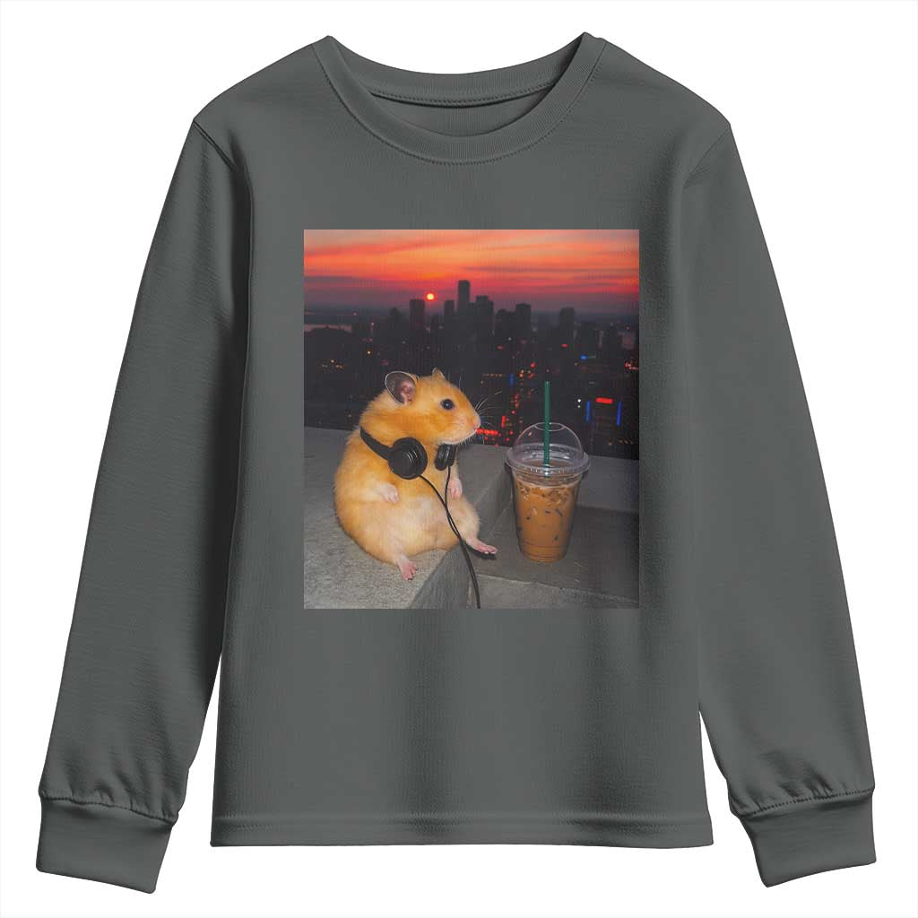 Hamster Drinking Iced Coffee Youth Sweatshirt Funny Animal Chill City Sunset Headphones TS14 Dark Heather Print Your Wear