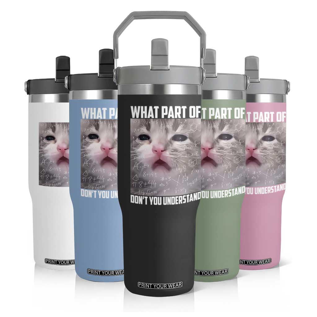 Funny Math Cat Lover Flip Straw Tumbler What Part Of Do Not You Understand TS14 Print Your Wear