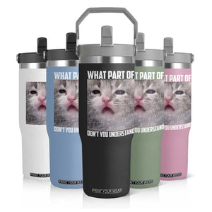 Funny Math Cat Lover Flip Straw Tumbler What Part Of Do Not You Understand TS14 Print Your Wear
