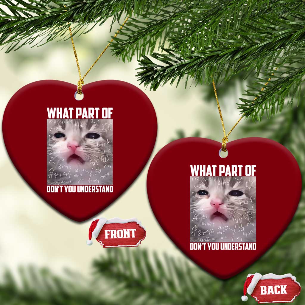 Funny Math Cat Lover Ceramic Ornament What Part Of Do Not You Understand TS14 Print Your Wear