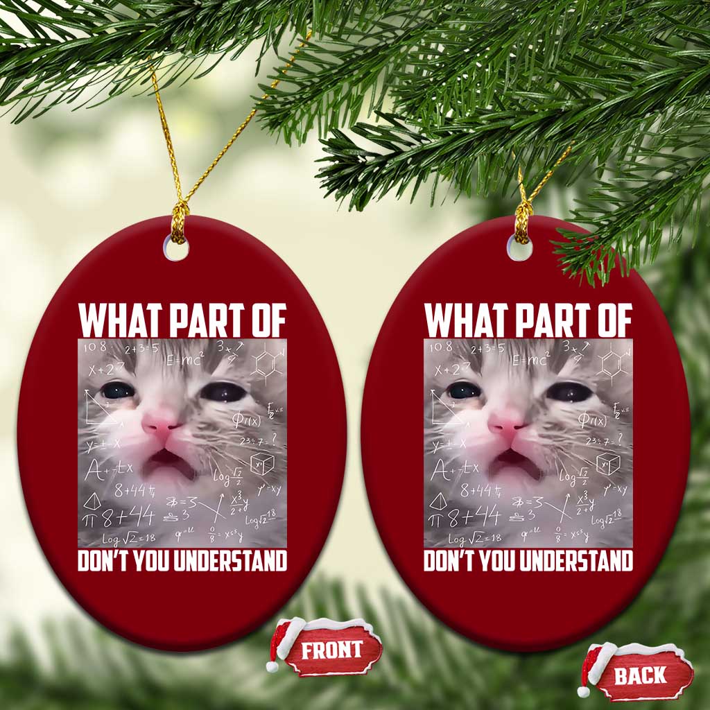 Funny Math Cat Lover Ceramic Ornament What Part Of Do Not You Understand TS14 Print Your Wear