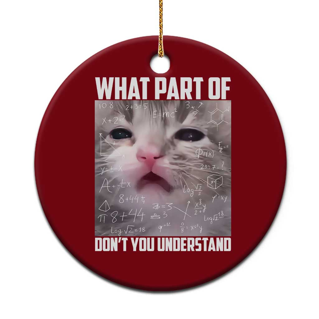 Funny Math Cat Lover Ceramic Ornament What Part Of Do Not You Understand TS14 1pc Red Print Your Wear
