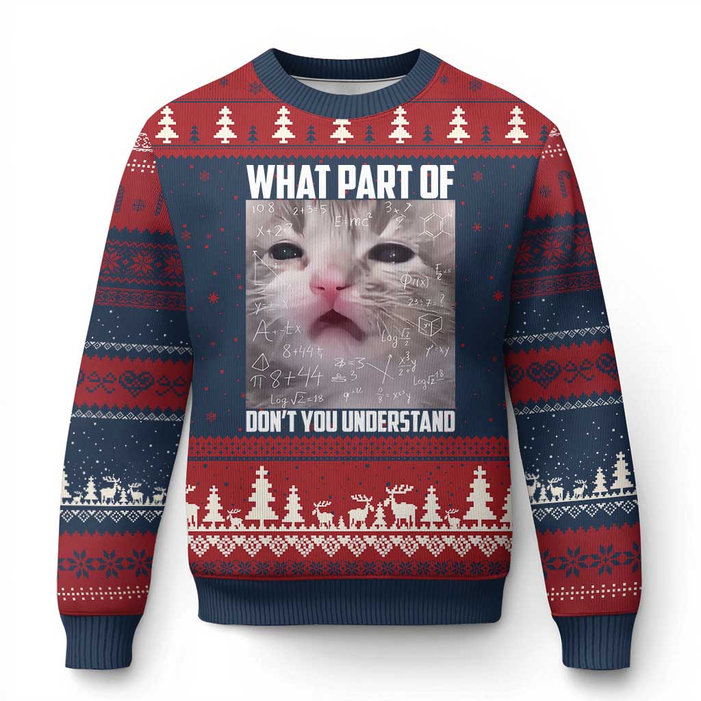 Funny Math Cat Lover Ugly Christmas Sweater What Part Of Do Not You Understand TS14 Navy Red Print Your Wear