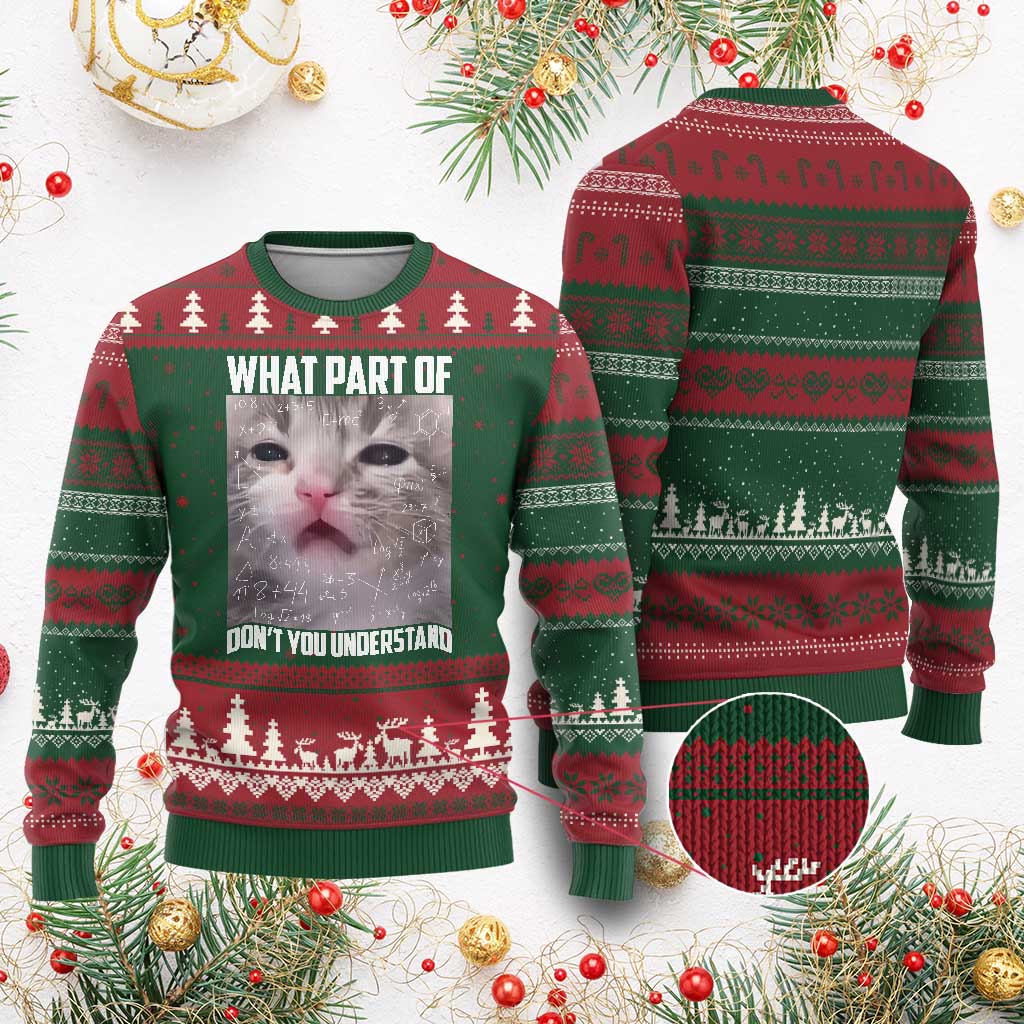 Funny Math Cat Lover Ugly Christmas Sweater What Part Of Do Not You Understand TS14 Red Green Print Your Wear