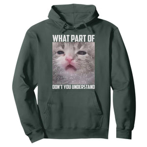 Funny Math Cat Lover Hoodie What Part Of Do Not You Understand TS14 Dark Forest Green Print Your Wear