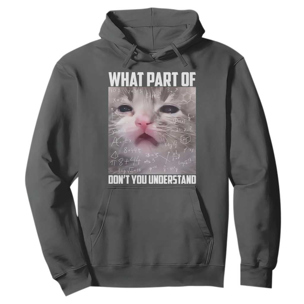 Funny Math Cat Lover Hoodie What Part Of Do Not You Understand TS14 Dark Heather Print Your Wear