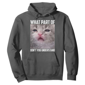 Funny Math Cat Lover Hoodie What Part Of Do Not You Understand TS14 Dark Heather Print Your Wear