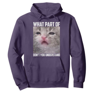 Funny Math Cat Lover Hoodie What Part Of Do Not You Understand TS14 Purple Print Your Wear