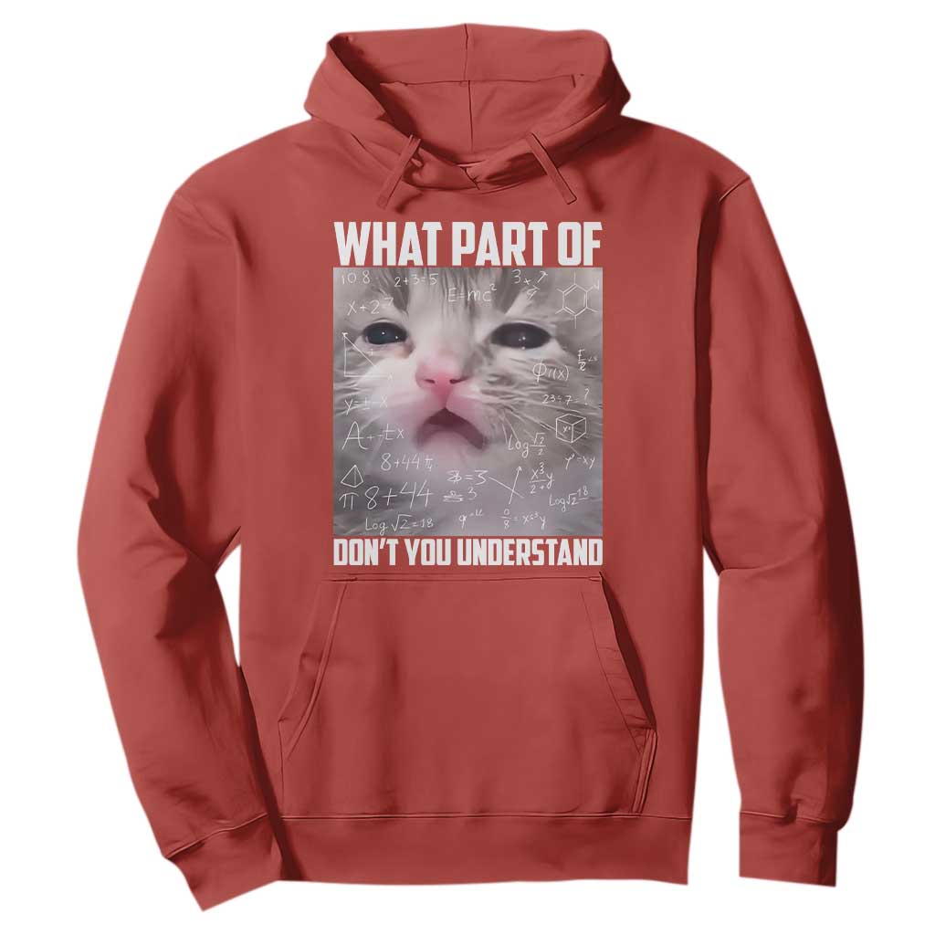 Funny Math Cat Lover Hoodie What Part Of Do Not You Understand TS14 Red Print Your Wear