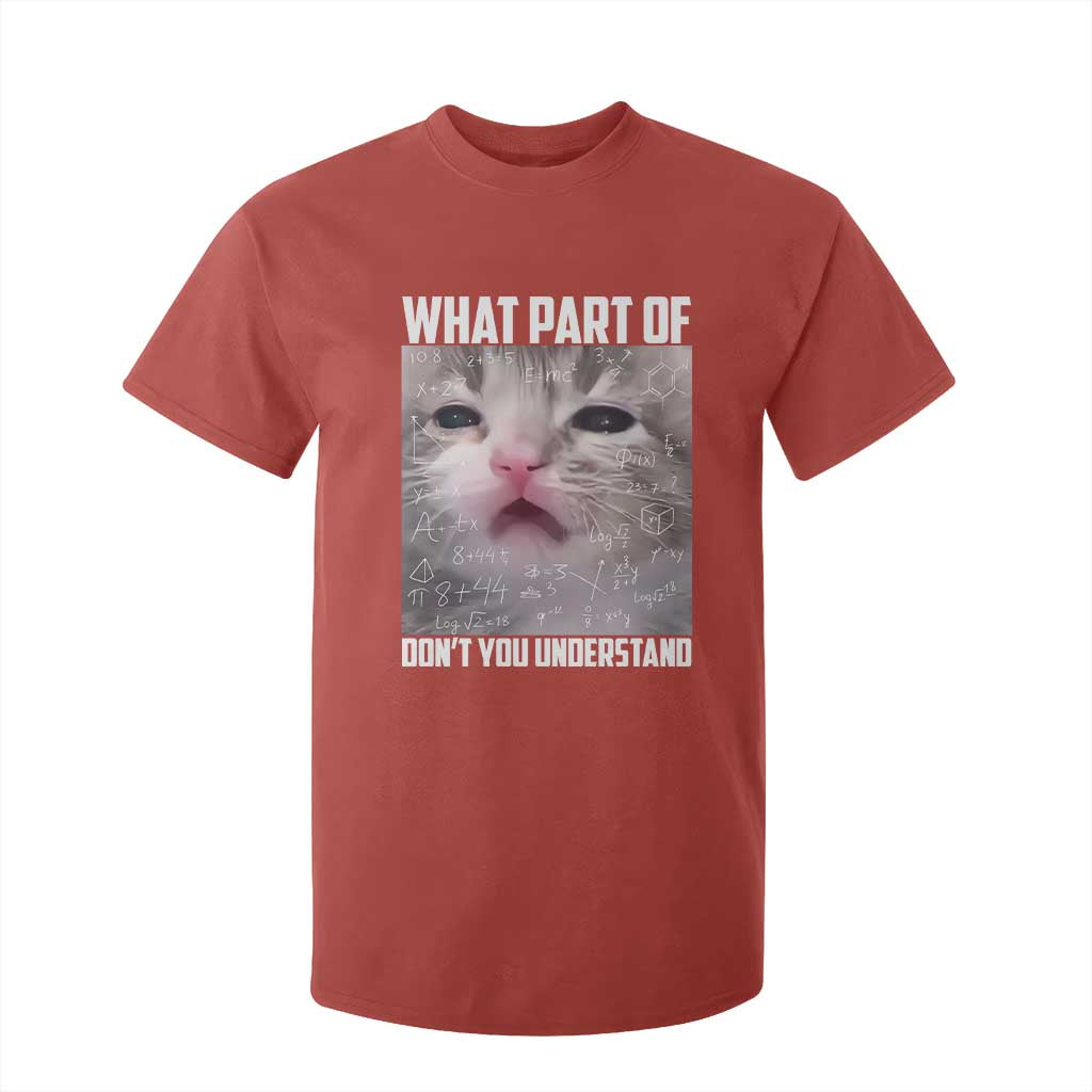 Funny Math Cat Lover T Shirt For Kid What Part Of Do Not You Understand TS14 Red Print Your Wear