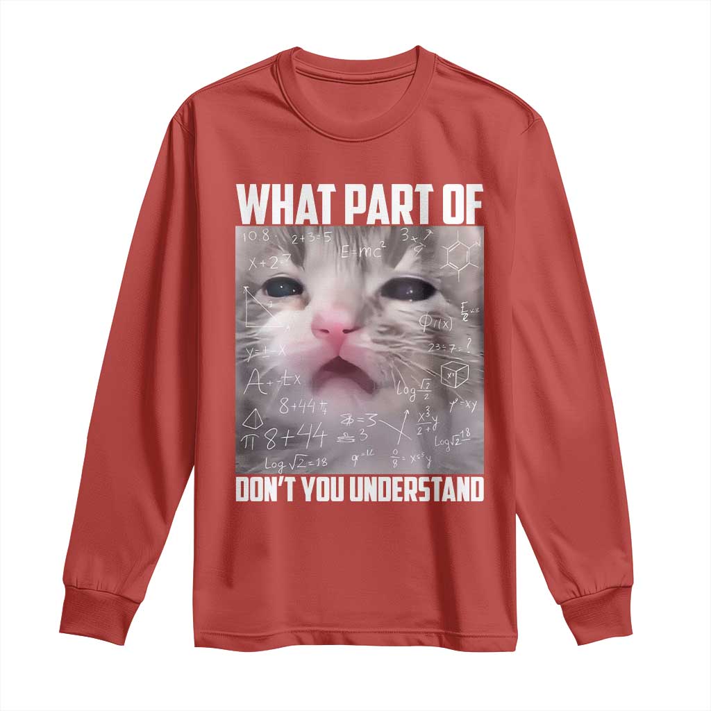 Funny Math Cat Lover Long Sleeve Shirt What Part Of Do Not You Understand TS14 Red Print Your Wear