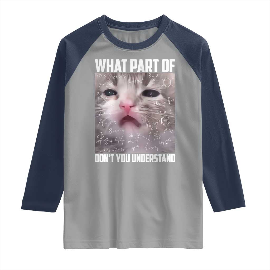 Funny Math Cat Lover Raglan Shirt What Part Of Do Not You Understand TS14 Sport Gray Navy Print Your Wear