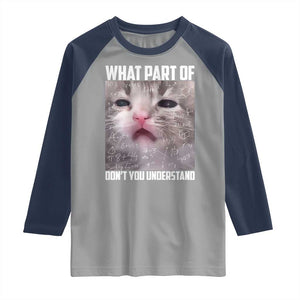 Funny Math Cat Lover Raglan Shirt What Part Of Do Not You Understand TS14 Sport Gray Navy Print Your Wear