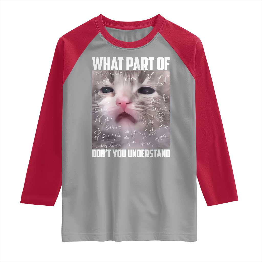 Funny Math Cat Lover Raglan Shirt What Part Of Do Not You Understand TS14 Sport Gray Red Print Your Wear